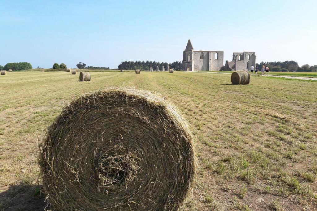La Virginie - Suite Ile'O La Couarde-sur-Mer Ngoại thất bức ảnh